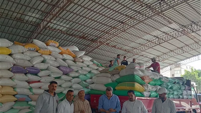 توريد 228349 طن قمح بالبحيرة
