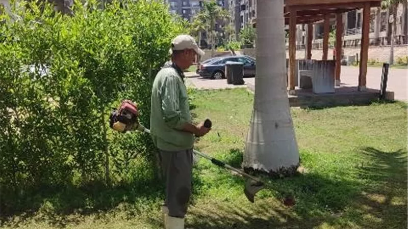 جهاز مدينة الشيخ زايد يكشف أحدث أعمال الزراعة بعيد الأضحى.. صور