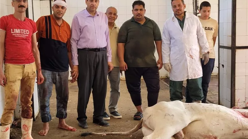 بيطري المنيا ينهي ذبح 2319 ذبيحة داخل المجازر الحكومية