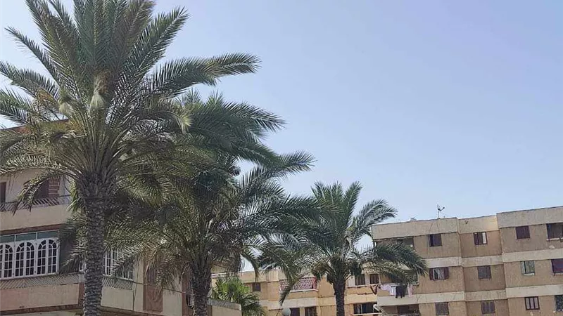 حدائق ومتنزهات دمياط الجديدة تستقبل روادها خلال عيد الأضحى