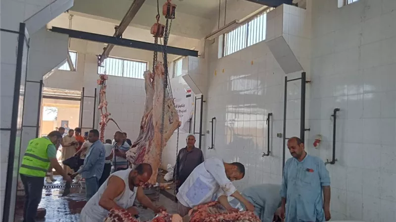 القاضي:الانتهاء من ذبح ٢٣١٩أضحية بالمجازرالحكومية خلال أيام العيد