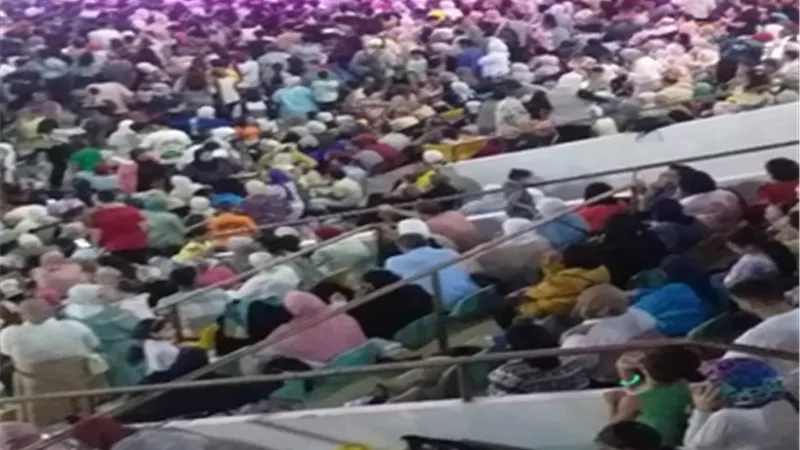 حفل أحمد شيبة بالإسكندرية.. كامل العدد