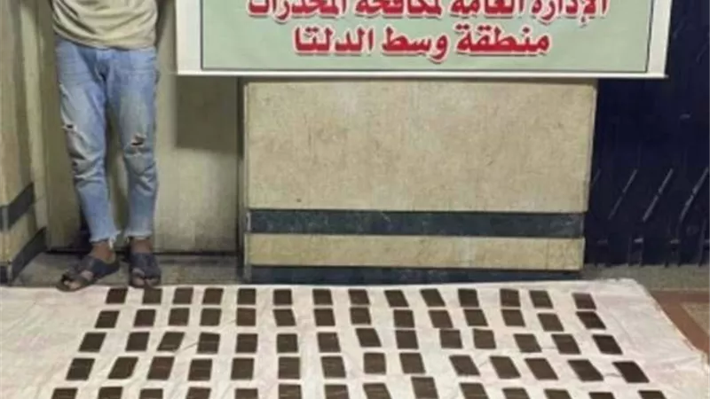 ضبط 3 عناصر إجرامية بـ 23 كيلو حشيش وسلاح بالشرقية