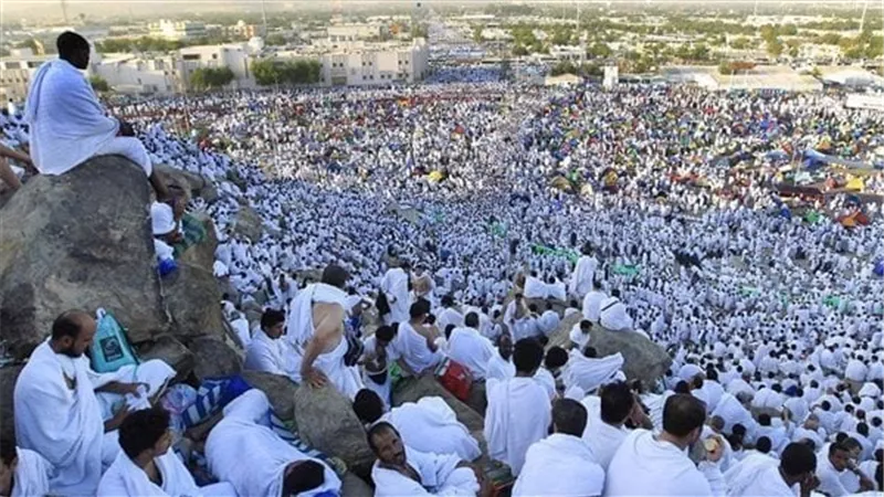 رئيس بعثة الحج: 870 حاجا من بعثة القرعة يصلون المدينة المنورة قادمين من مكة