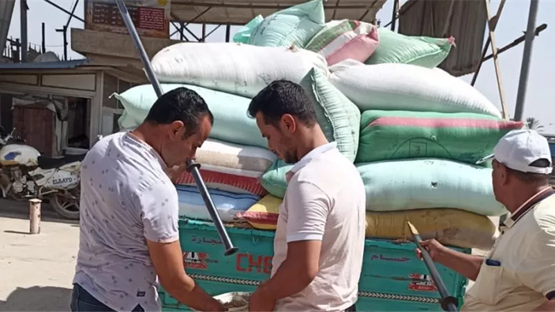 توريد 228615 طن و 211 كيلوا قمح بالبحيرة