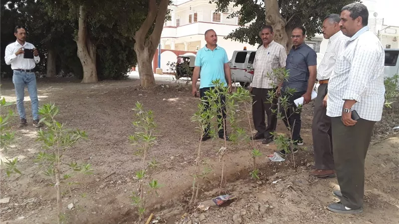 محافظ أسيوط: استمرار تنفيذ أعمال تشجير وزراعة شتلات بمركز ديروط