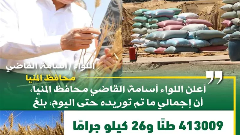 شون وصوامع المنيا تواصل استقبال القمح وتوريد 413 ألف طن