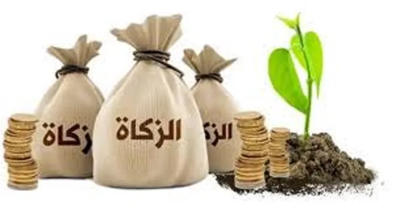 مال وذهب لم يبلغا نصاب الزكاة فهل يتم الجمع بينهما واخرج قيمتها