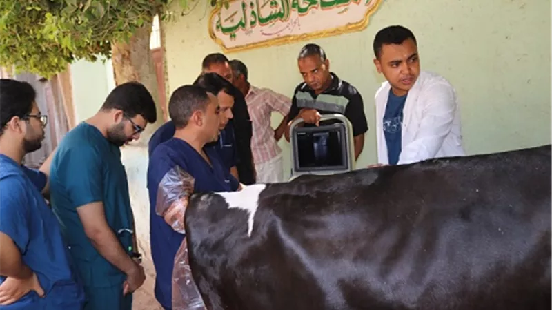 جامعة جنوب الوادي تنظم قافلة طبية بيطرية بقرية الحراجية بقوص