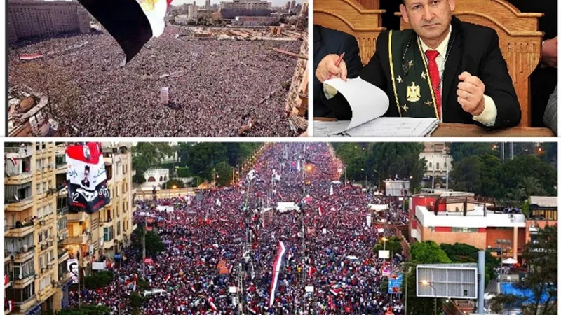 القضاء تصدى لقرارات الجماعة الإرهابية