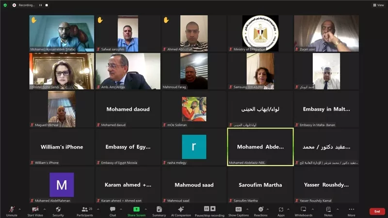 أعضاء الجاليات المصرية يناشدون الهجرة بإعادة فتح مبادرة السيارات
