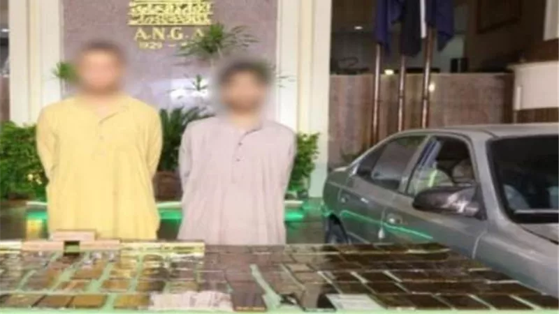 ضبط عناصر إجرامية بـ كوكتيل مخدرات في المنوفية والمنيا