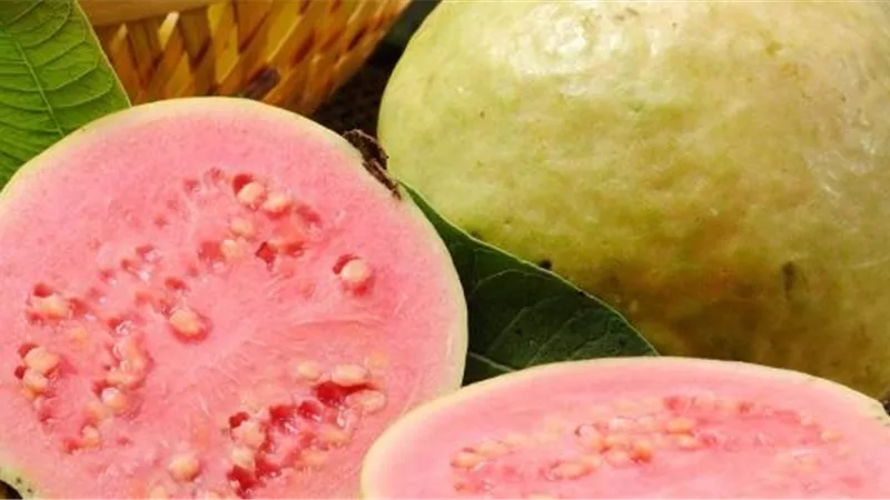 اطعمة تسرع عملية نزول الوزن ..منها الجوافة