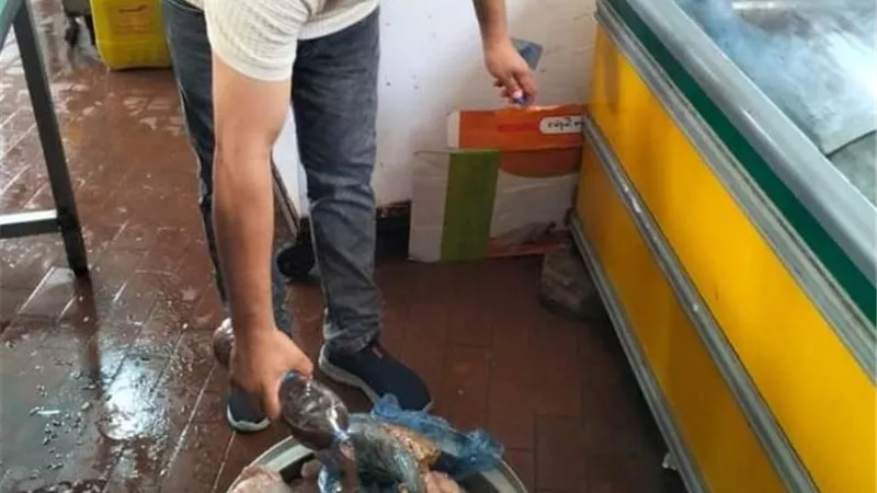 ضبط واعدام 145 كيلو اغذية و22 لتر سوائل مختلفة وتحرير 15 محضرا