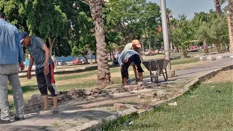 تهذيب ورفع كفاءة المسطحات الخضراء بالإسماعيلية