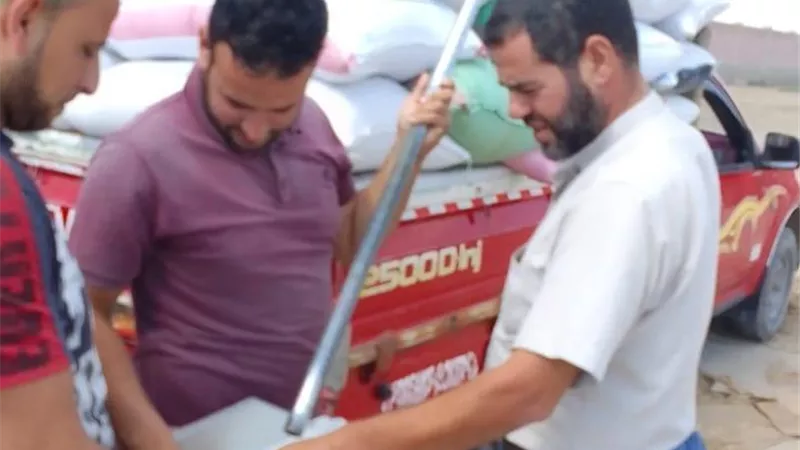 توريد 228935 طن قمح اليوم بالبحيرة