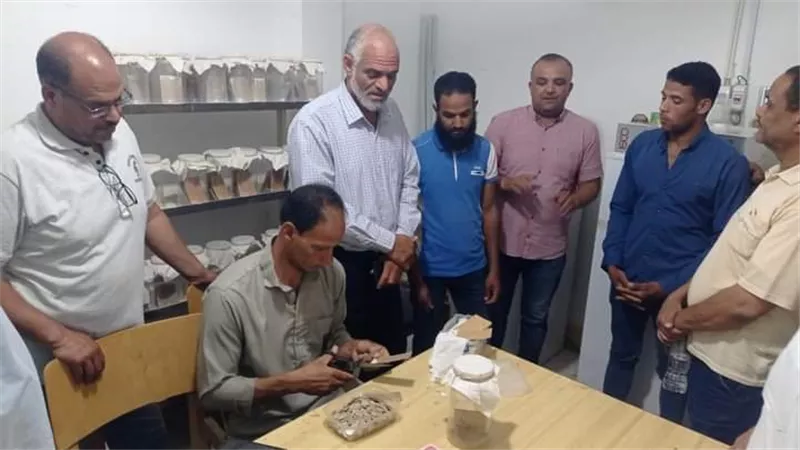 رئيس سيوة يتفقد معمل إنتاج طفيل الترايكوجراماالمكافح لآفات النخيل