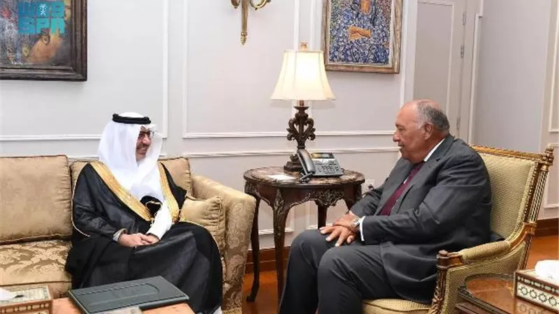 سفير السعودية لدى مصر يسلم نسخة من أوراق اعتماده لوزير الخارجية