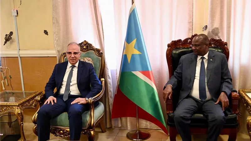 وزير الري يؤكد على تعزيز التعاون الاقتصادي مع جنوب السودان وإقامة المشروعات الإستثمارية