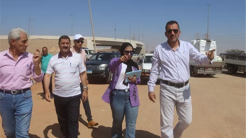صيانة المرافق وتشجير المنطقة الصناعية بالعاشر من رمضان
