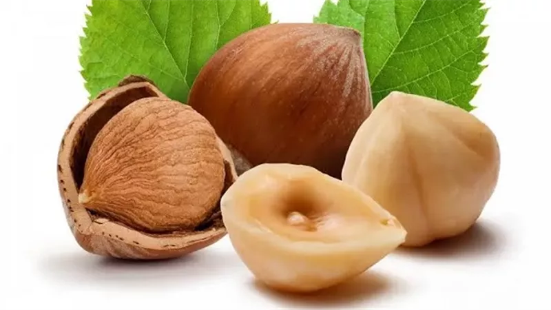 مكافحة السرطان والشيخوخة المبكرة .. أبرز فوائد البندق