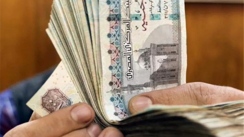 إنفوجراف.. تبكير موعد صرف معاشات شهر يوليو 2024