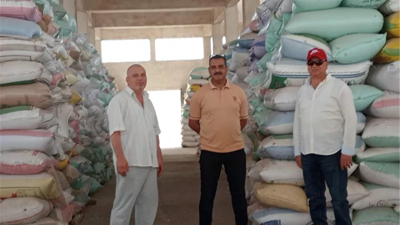 توريد 229 ألف طن قمح لشون وصوامع محافظة البحيرة