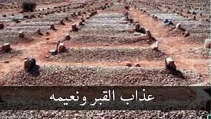 امين الفتوى..ليه بنسأل دايماً عن عذاب القبر رغم ان فيه نعيم