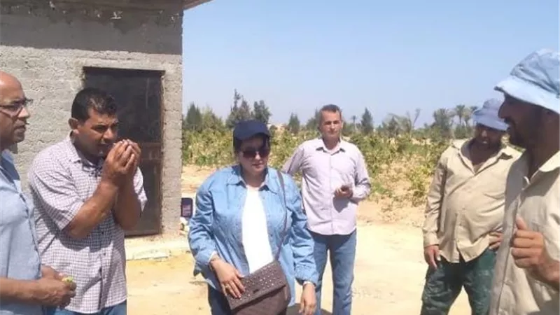 ضبط مبيدات زراعية غير مرخصة بالإسكندرية