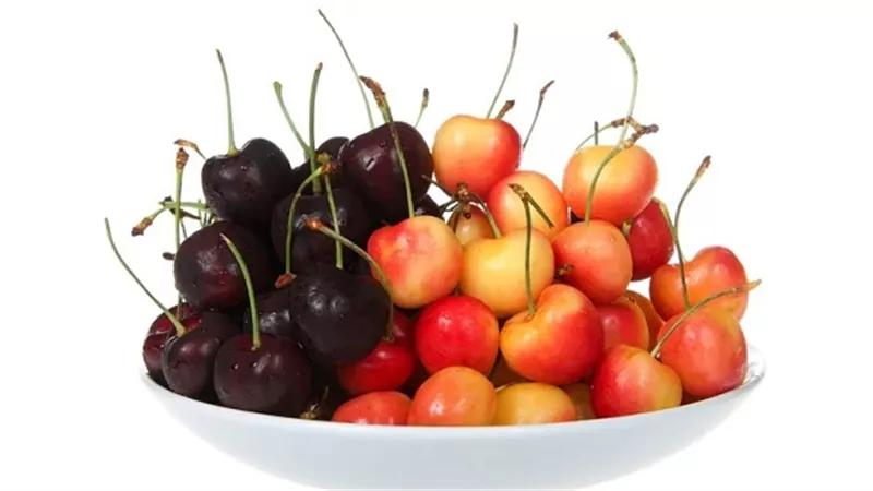 أيهما أكثر فائدة .. الكريز الأصفر أم الأحمر ؟