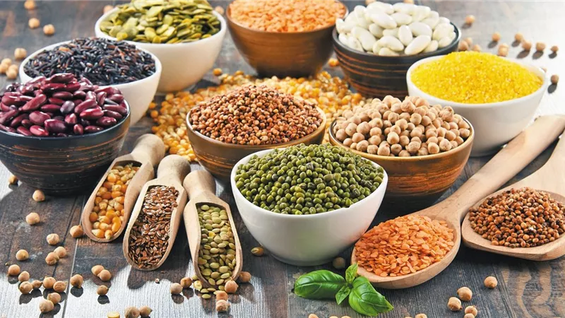 بدائل هامة للنباتيين لتعويض البروتين