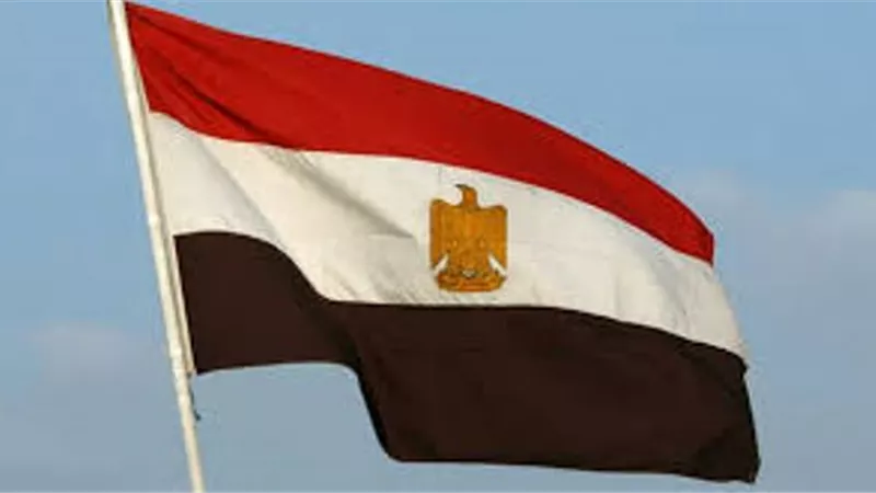 مصدر مسؤول: مصر تلتزم بالإطار التشريعي في التعامل مع ملف اللاجئين
