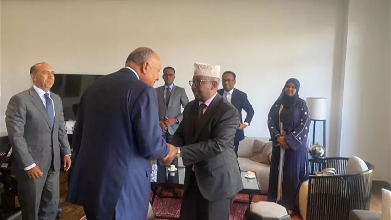 وزير الخارجية يستقبل نظيره الصومالى