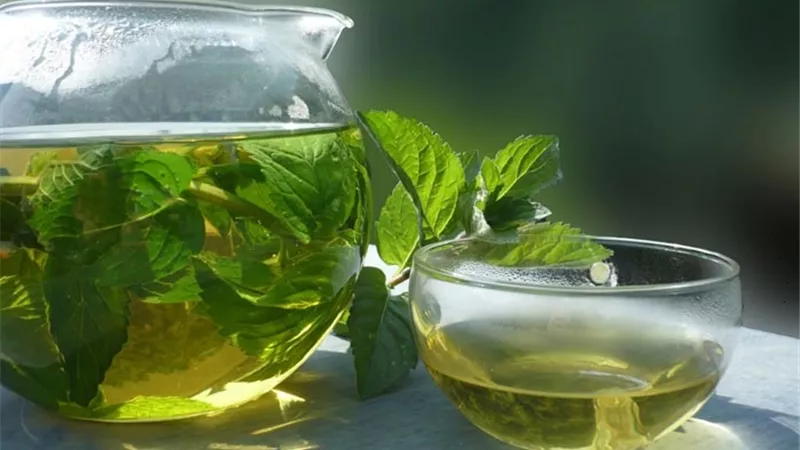 النعناع لراحة وصحة البطن والأمعاء