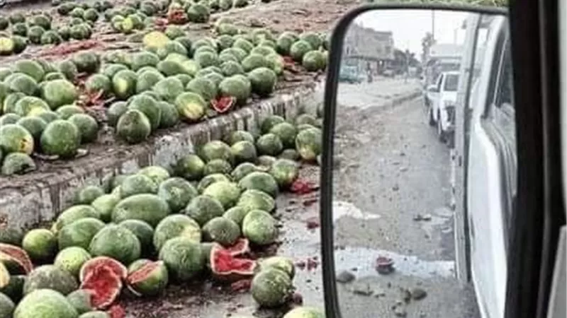 انقلاب سيارة نقل محملة بالبطيخ علي طريق جمصه