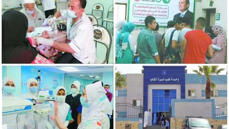 رعاية صحية لكل المصريين وحمايتهم من الأمراض المزمنة والطارئة