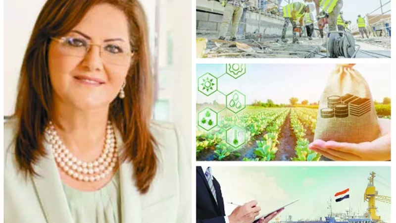 جهود التنمية الاقتصادية فى مواجهة التحديات