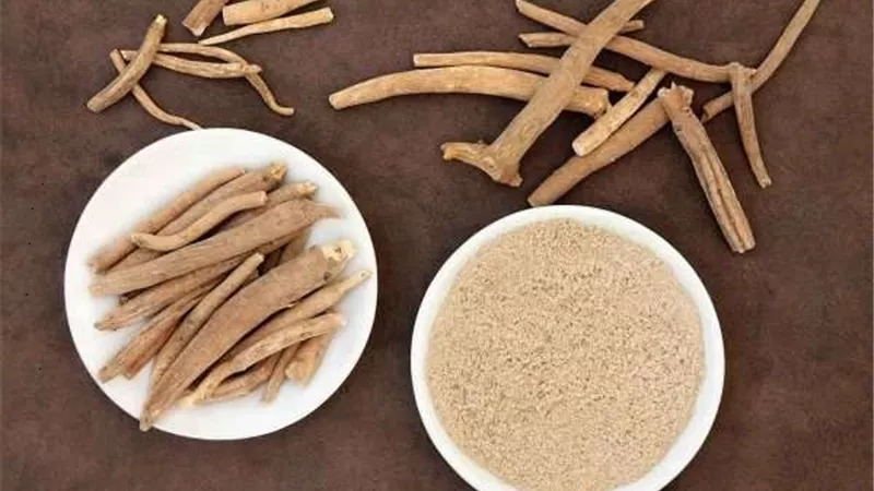 فوائد عشبة الأشواجندا للنساء