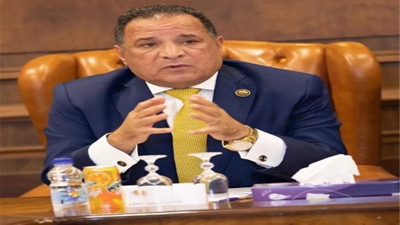 أبو هميلة: 3 يوليو انتصار لإرادة الشعب المصري والخلاص من الحكم المستبد