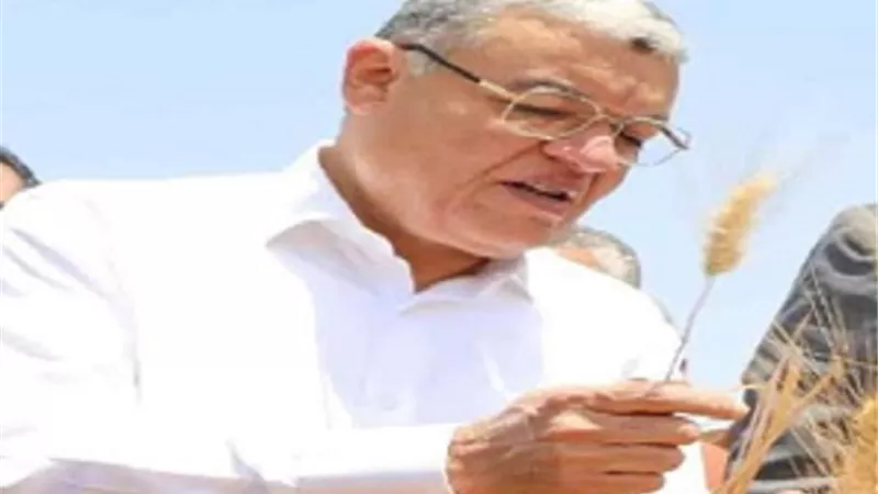 القاضي يعلن تخطى المستهدف من توريد القمح لهذا العام بنسبة % 128