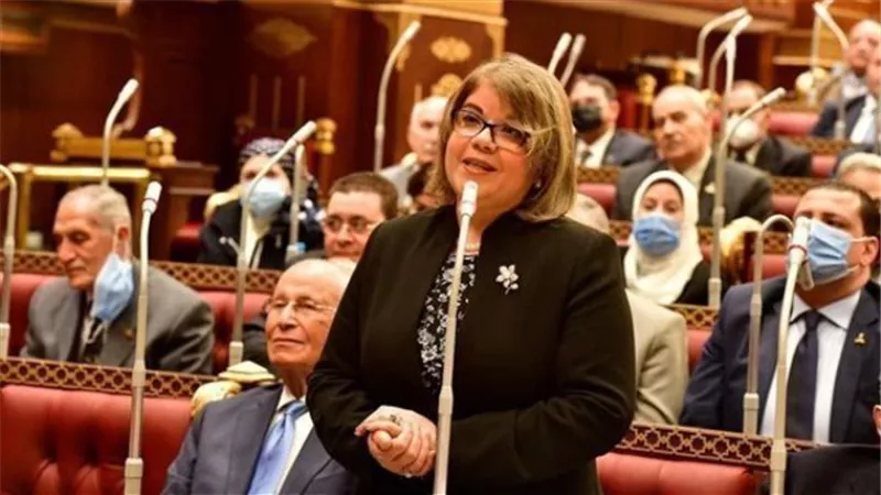 النائبة فيبي تؤكد أهمية المرونة في التعامل مع صناديق الملكية الخاصة