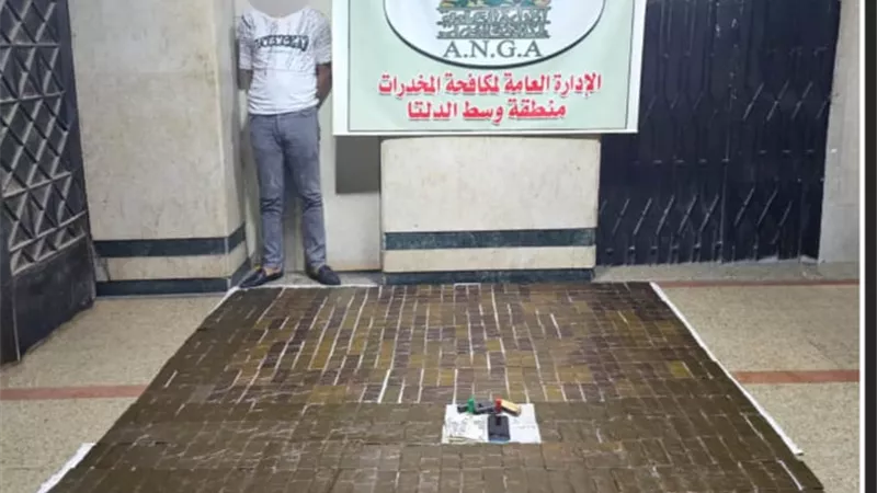 قيمتها 4ملايين جنيه .. 50كيلو حشيش بحوزة عنصر إجرامى بالمنوفية