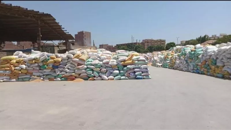 توريد 610 ألاف طن قمح لصوامع وشون الشرقية