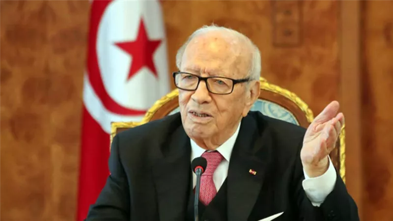 بالفيديو.. المقرر العام للدستور التونسي يوضح الخطوات القانونية عقب وفاة السبسي