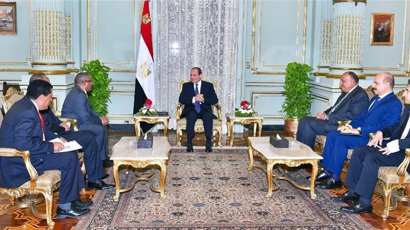 السيسي يستقبل رسالة من رئيس الوزراء الاثيوبي