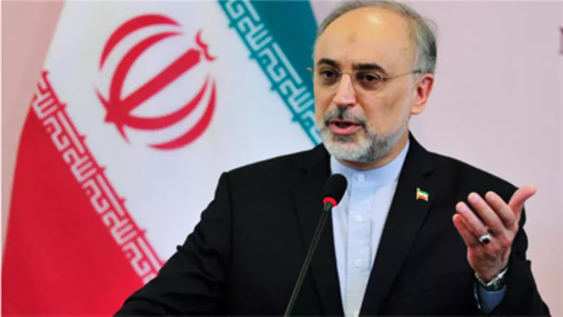 صالحى: طهران ستبدأ بإنشاء محطة نووية ثانية خلال أسبوعين