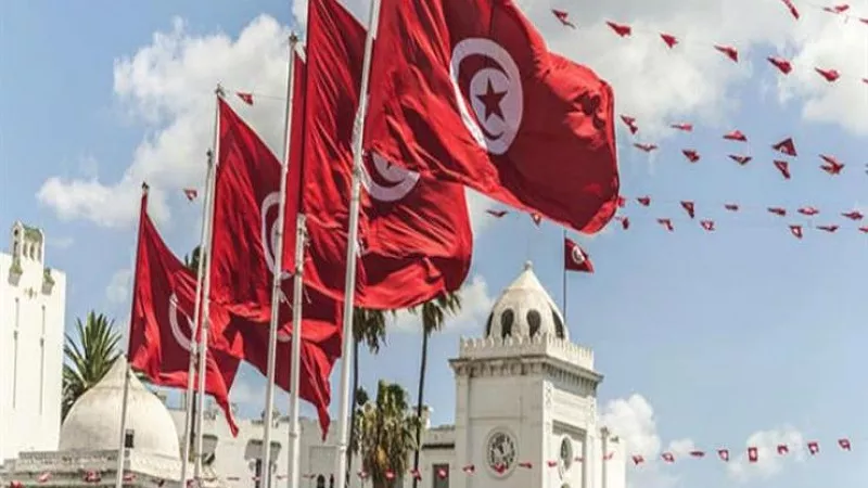 بالفيديو.. تعرف على المواد الدستورية المنظمة للمرحلة الانتقالية في تونس