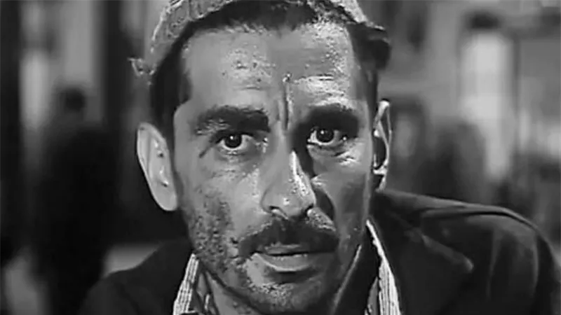 حقيقة اعتناق يوسف شاهين للإسلام وعشقه لشيخ الشعراوى