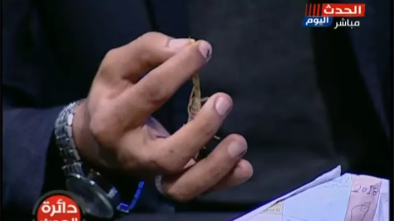 بالفيديو شاهد .. عقرب يلدغ صاحب مزرعة على الهواء مباشرة