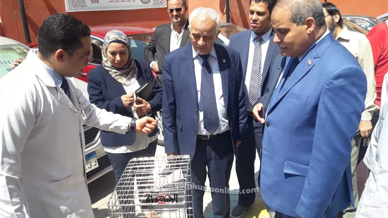 رئيس جامعة الأزهر يتفقد الحسين الجامعي ويلتقى المشاركين بورش الكبد والجهاز الهضمي